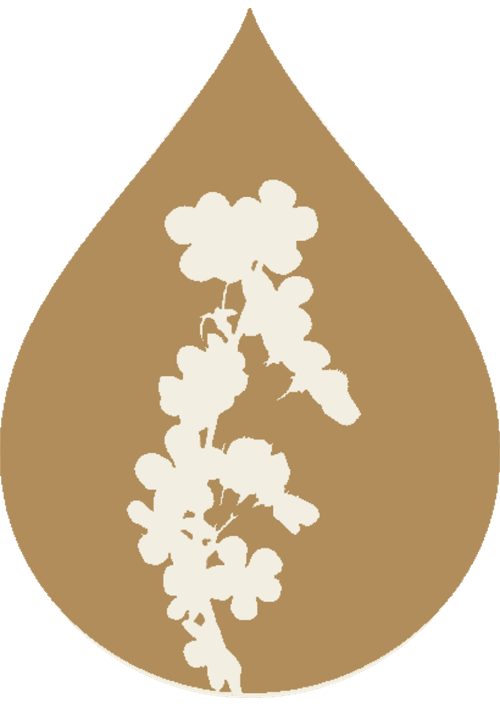 Mikvah